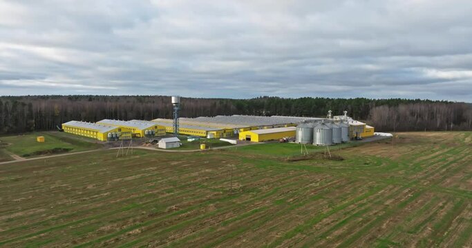 aerial view and flight over agro-industrial livestock complex on agro-processing and manufacturing plant with poultry chicken farm. rows of chicken coop