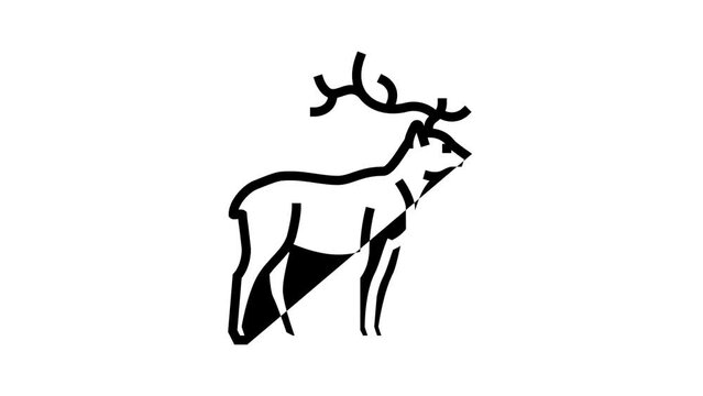 deer animal in zoo line icon animation