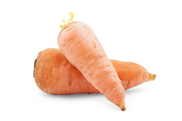 Set of fresh ripe carrots on white background
