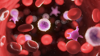 3d rendered medical illustration of circulating blood cells - obrazy, fototapety, plakaty