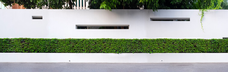White concrete fence wall with row of green bush in front of modern house in panoramic view