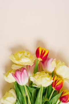 Bright spring bouquet of tulips on a beige background with copy space. Flat lay greeting card
