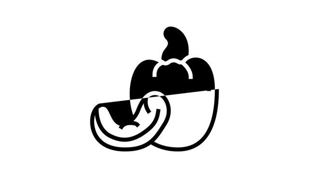 cashew nut line icon animation