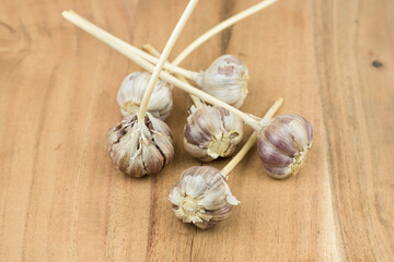 garlic on a wooden surface