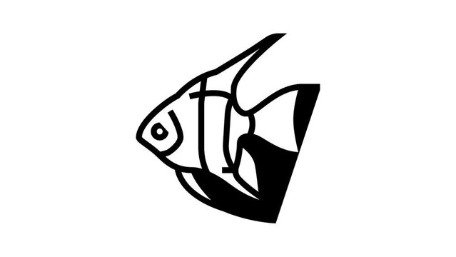 angelfish aquarium fish line icon animation