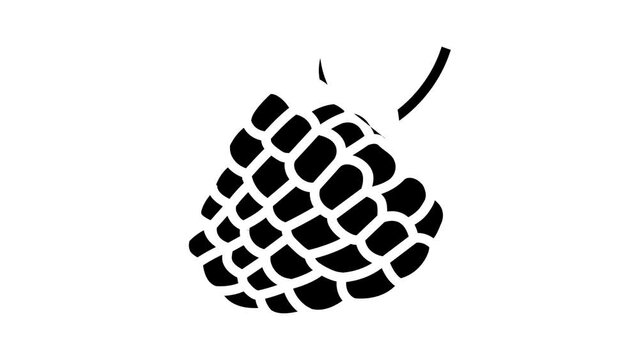 raspberry berry leaf glyph icon animation