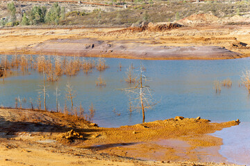View of dead trees in arid and dry areas. Dry climate. Shortage of water. Climate change and global warming. There is no planet B. Urgent action to save the world. Environment.  Ecological Disaster. 