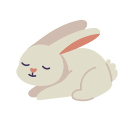 cute rabbit animal