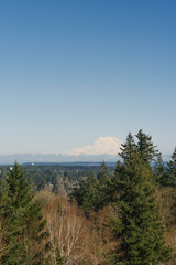 Mount Rainier in the distance. Beautiful spring landscape