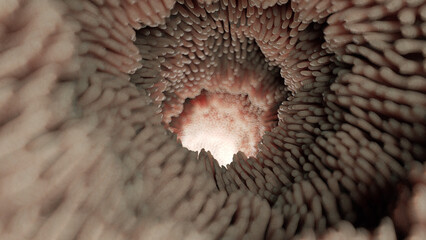 3d rendered medical illustration of intestinal microvilli