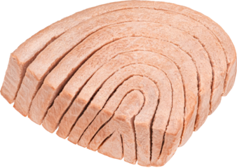 Canned tuna fish fillet isolated