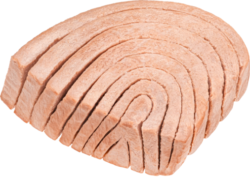 Canned tuna fish fillet isolated