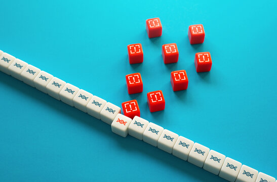 Harmful factors, dangers threaten the safety of the organism. Damage to DNA chain, mutation. carcinogens, radiation. High chance of getting cancer. Accumulation of stress. Predisposition to diseases