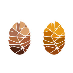 cone. pine cones.isolated illustration in vector format