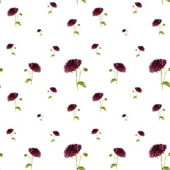 Fototapeta premium Dahlia red seamless cute pattern a watercolor 