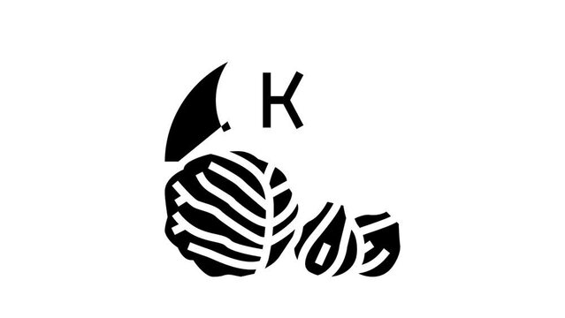 k vitamin in vegetable glyph icon animation