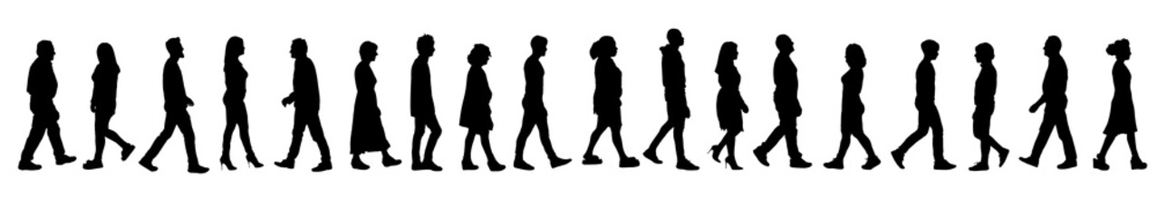 Fototapeta na wymiar silhouette of a line of group of a people walking on white background