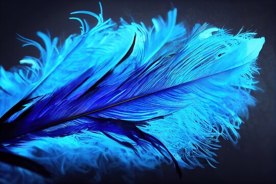 Abstract background. Silhouettes of flying feathers of different birds on the background. colorful..