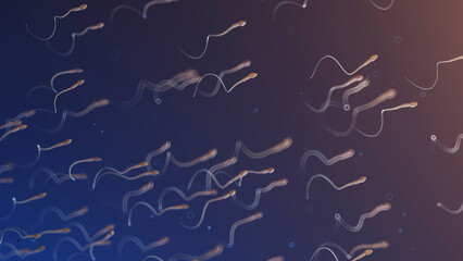 3d rendered medical illustration of sperm motility