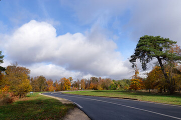 Naklejka premium The Croix du Grand Veneur crossroads in Fontainebleau forest
