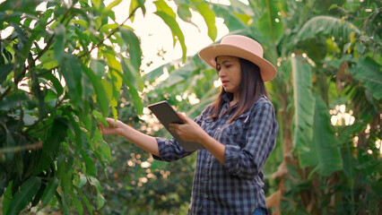 Young woman farmer monitoring orchard and sends data to the cloud from the tablet.