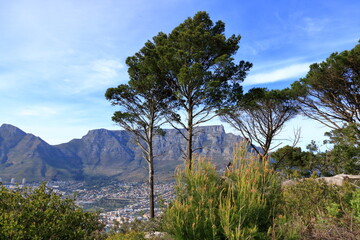 view to Cape Town City captured from the side of signal hill in South Africa