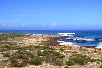 Fototapeta na wymiar Coastal landscape View of Cape of Good Hope, South Africa