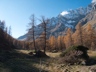 In the autumn background, outdoor, steep cliffs, europa, pellaud lakes, sun, sunny, paths, short grass, yellowby the Pellaud lakes in the municipality of Rhêmes-Notre-Dame, in the Aosta Valley, Italy.