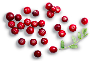 Cranberries with leaves, top view isolated png