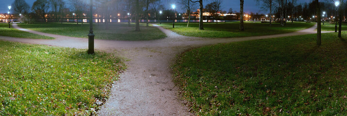 Coastal park hiking trails branch out and diverge among grass in different directions at night in light of street lights. Conceptual landscape