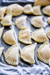 dumplings on a white plate