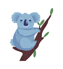 koala on a branch