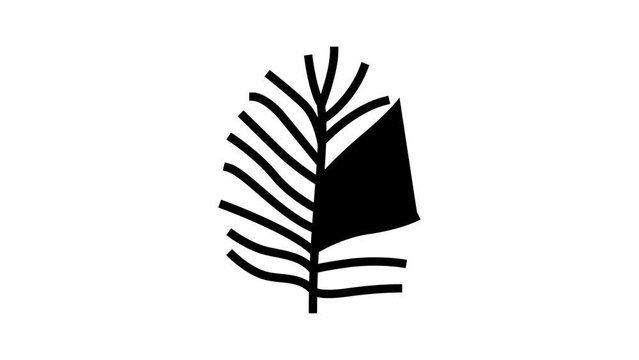 chamaedorea tropical leaf line icon animation