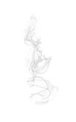 Draagtas Transparent flowing smoke or steam on a transparent background. PNG © siaminka