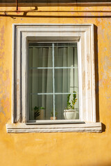 Part of the decoration of the facade of the building and the material from which it is built;  
a yellow wall with an old window in which there is a flower pot