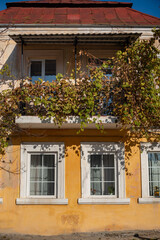 Fototapeta na wymiar Part of the decoration of the facade of the building and the material from which it is built; a yellow wall with white windows and a balcony overgrown with grapes