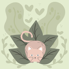 cute cat on leaves