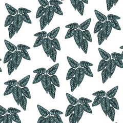 illustrated background with the image of an exotic plant on a white background for decoration for design 