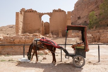 Cart with horse is standing by ruin in Petra, Jordan. Petra is ancient Nabataean city,  considered...
