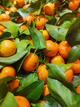 tangerines fruits