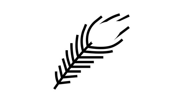 peacock feather soft fluffy glyph icon animation