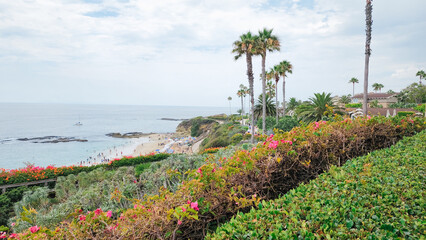 Laguna Beach palm trees and lush bushes