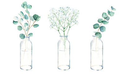 Eucalyptus and gypsophila branches in vases, jars. Watercolor hand drawn botanical illustration isolated on white background. Eco minimalistic style for greeting cards, posters, web design.