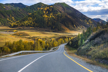 Serpentine asphalt road among high snow-capped mountain peaks, yellow desert, autumn green forest...