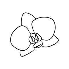 Flowers of orchids in hand. Contour drawing, line art