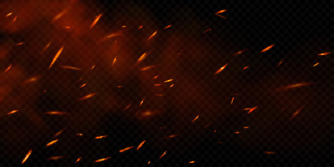 Fototapeta na wymiar Realistic fire sparks on transparent background. Vector illustration of burning particles and smoke