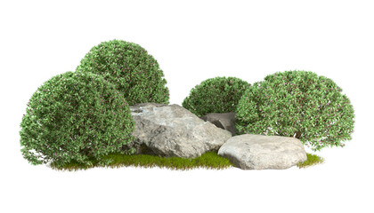 Green shrub plants gardening design position with rock on lush green grass cut out backgrounds 3d rendering png file