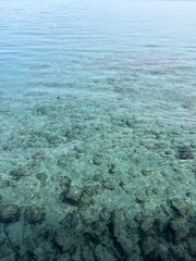 Transparent sea water, sea bottom, sea surface