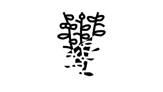 moneywort seaweed line icon animation