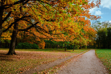 Colorful landscape of the autumn forest park